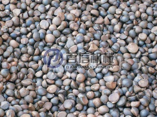 为什么使用热风干燥油茶籽？油茶籽加工工艺