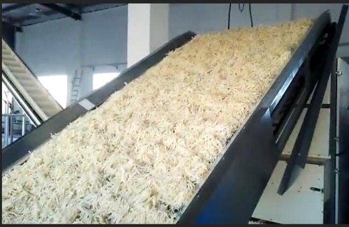  食品烘干用什么设备合适？      