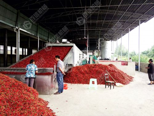 烘干旺季辣椒烘干机准备好了么？