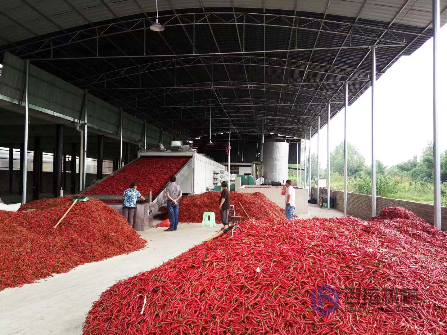 辣椒烘干机 辣椒烘干机