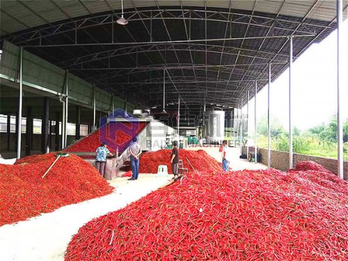大型网带辣椒烘干生产线是怎么运行的？