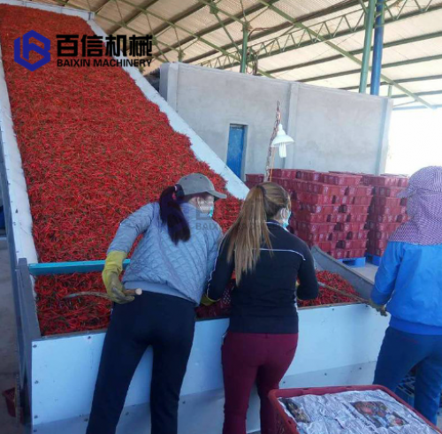 山西辣椒烘干机市场需求和辣椒种植规模分析
